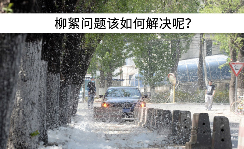 遇到“柳絮”不慌!這樣做，節(jié)能維修費(fèi)用